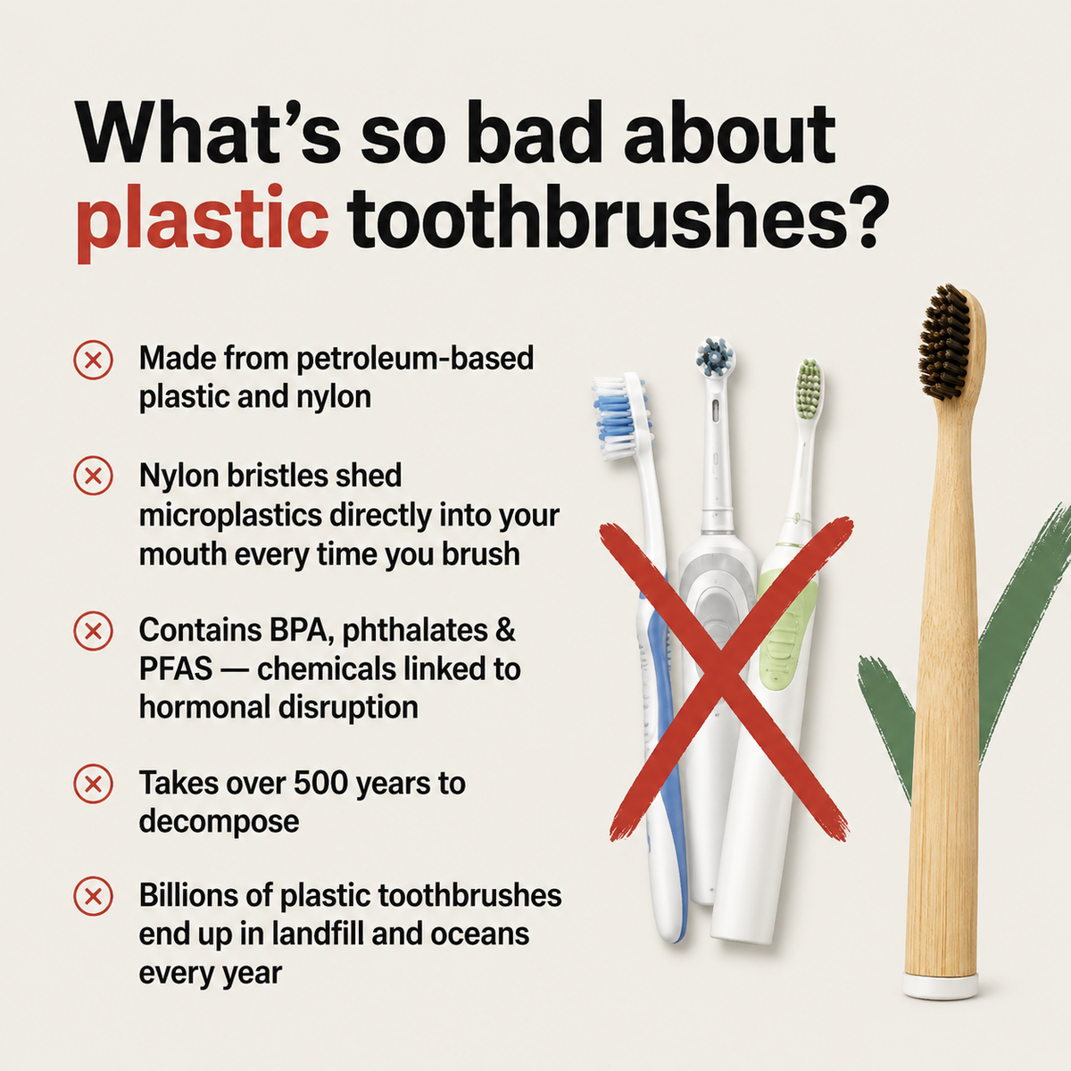 Natural Horse Bristle & Bamboo Toothbrush